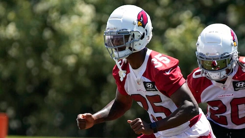 The former Arizona Cardinals cornerback is gone from the Baltimore Ravens.